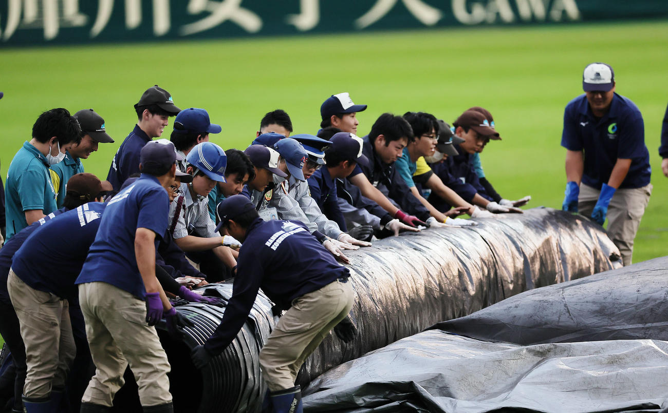 試合前、球場スタッフによってグラウンドのシートがはがされる（撮影・足立雅史）