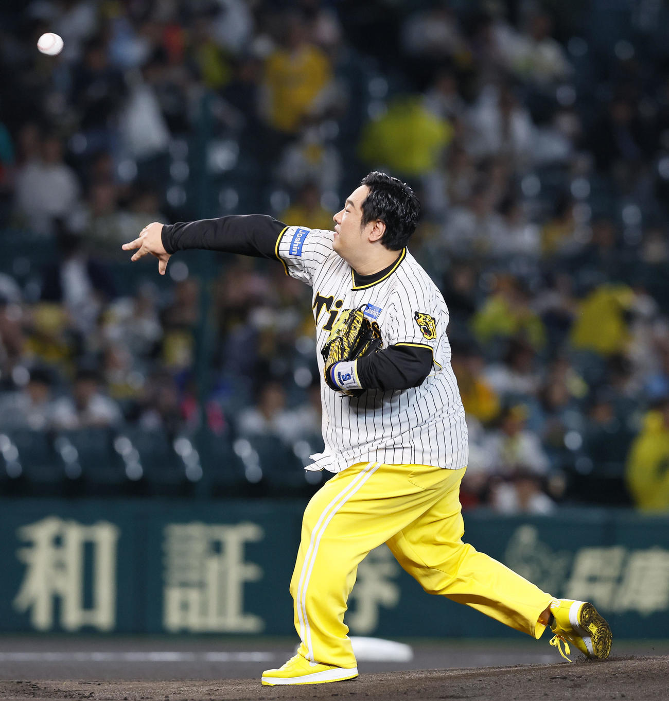 阪神対広島　ファーストピッチを務まる岡崎体育（撮影・藤尾明華）