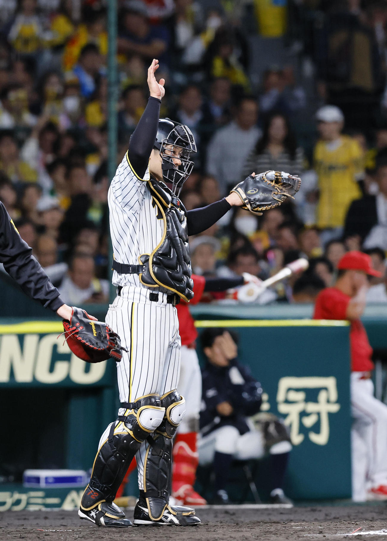 阪神対広島　6回に勝ち越し打を放ち、ファンの声援に応える阪神坂本（撮影・藤尾明華）