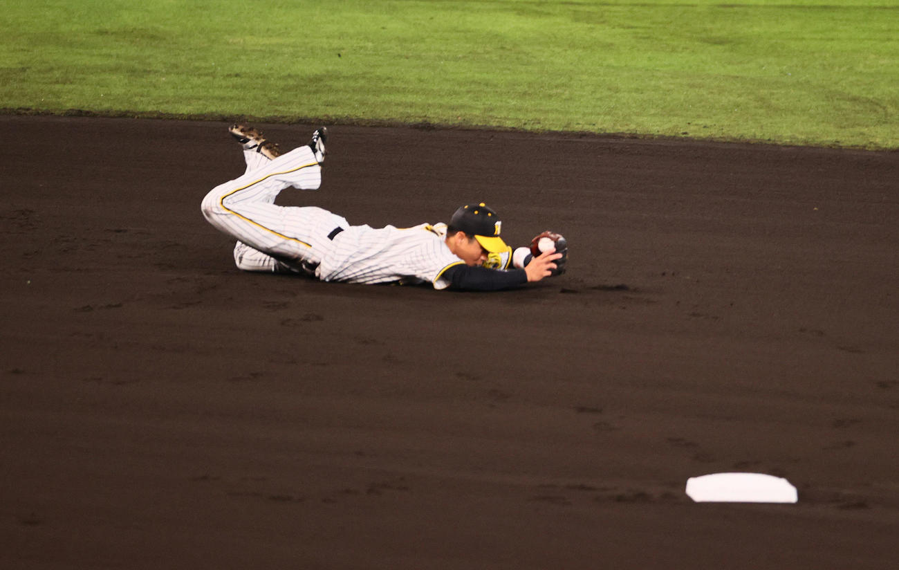 CSファイナル　阪神対広島　1回表広島無死、遊撃手木浪は菊池の遊直を好捕する（撮影・上山淳一）