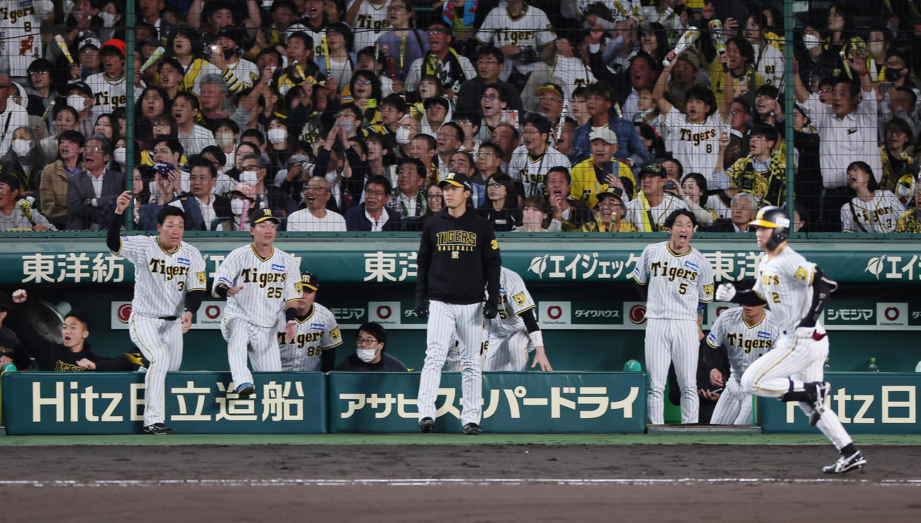 阪神対広島　6回裏阪神2死一、二塁、坂本の右前適時打で勝ち越し喜ぶナイン（撮影・足立雅史）