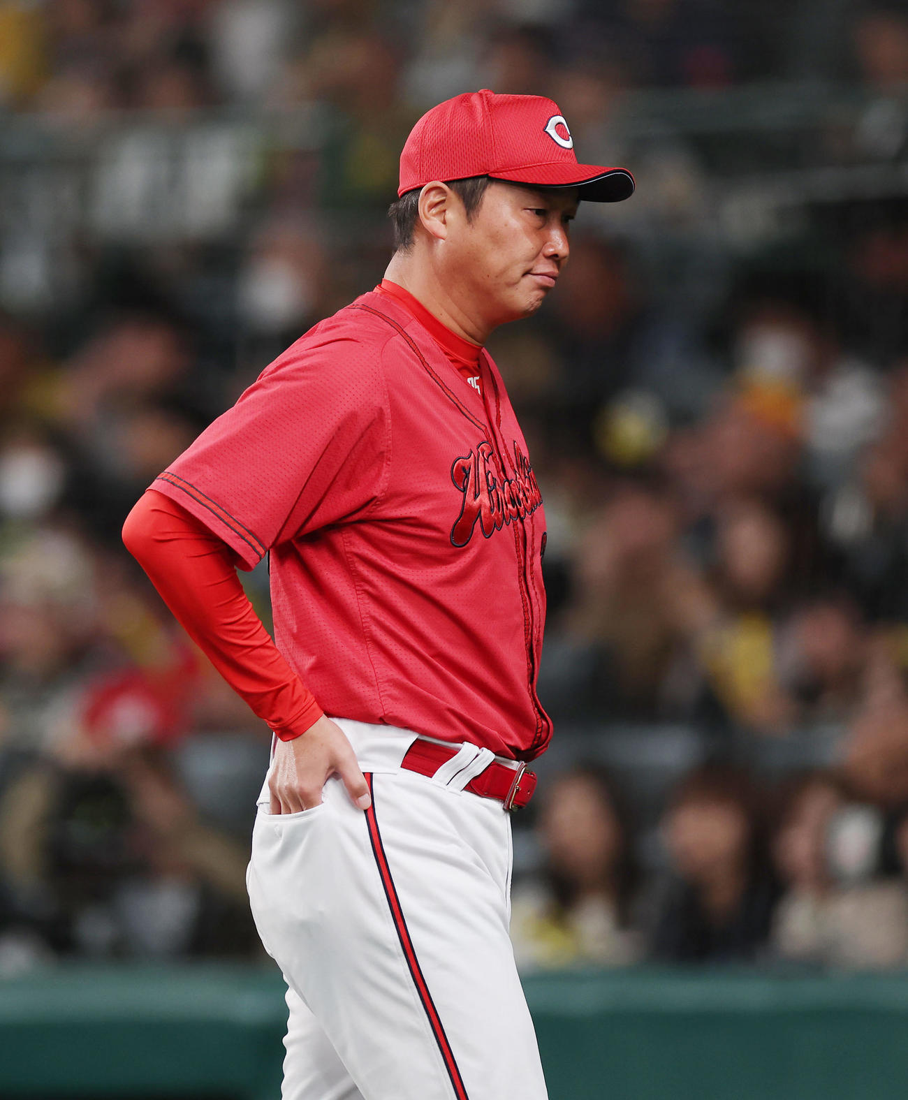 阪神対広島　7回、選手交代を告げベンチへ戻る広島新井監督（撮影・前田充）