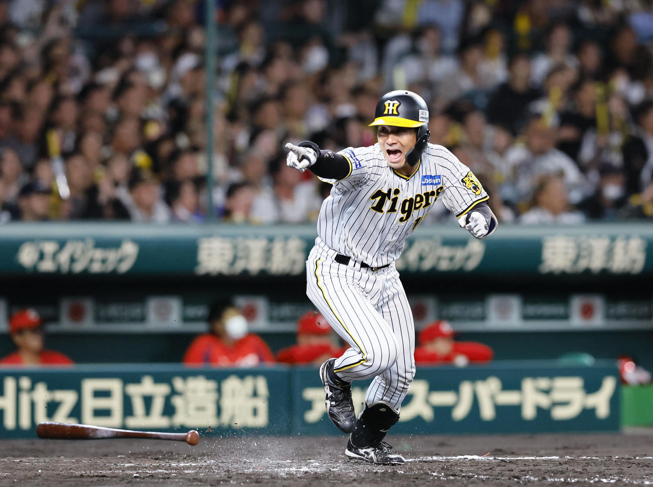 阪神対広島　4回裏阪神2死一、三塁、左前に勝ち越しの適時打を放ちベンチを指さす坂本（撮影・藤尾明華）