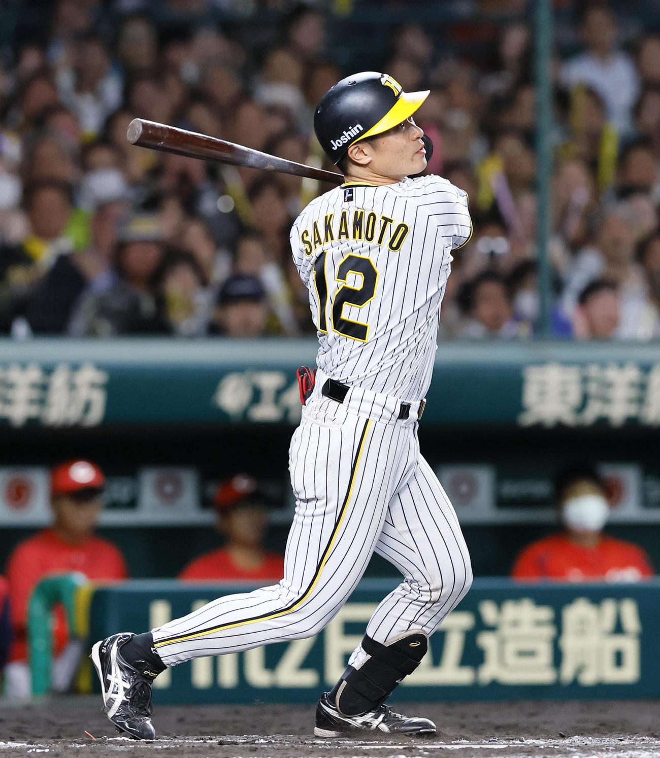 阪神対広島　6回裏阪神2死一、二塁、坂本は右前に勝ち越しの適時打を放つ（撮影・藤尾明華）