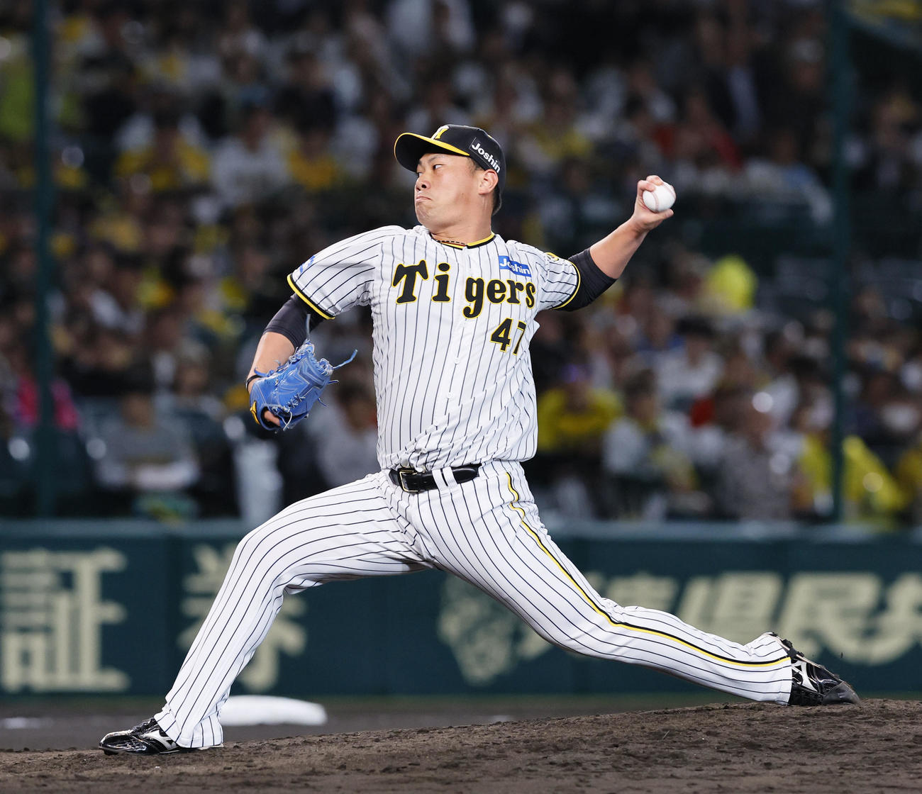 阪神対広島　6回、2番手で登板した阪神桐敷（撮影・藤尾明華）