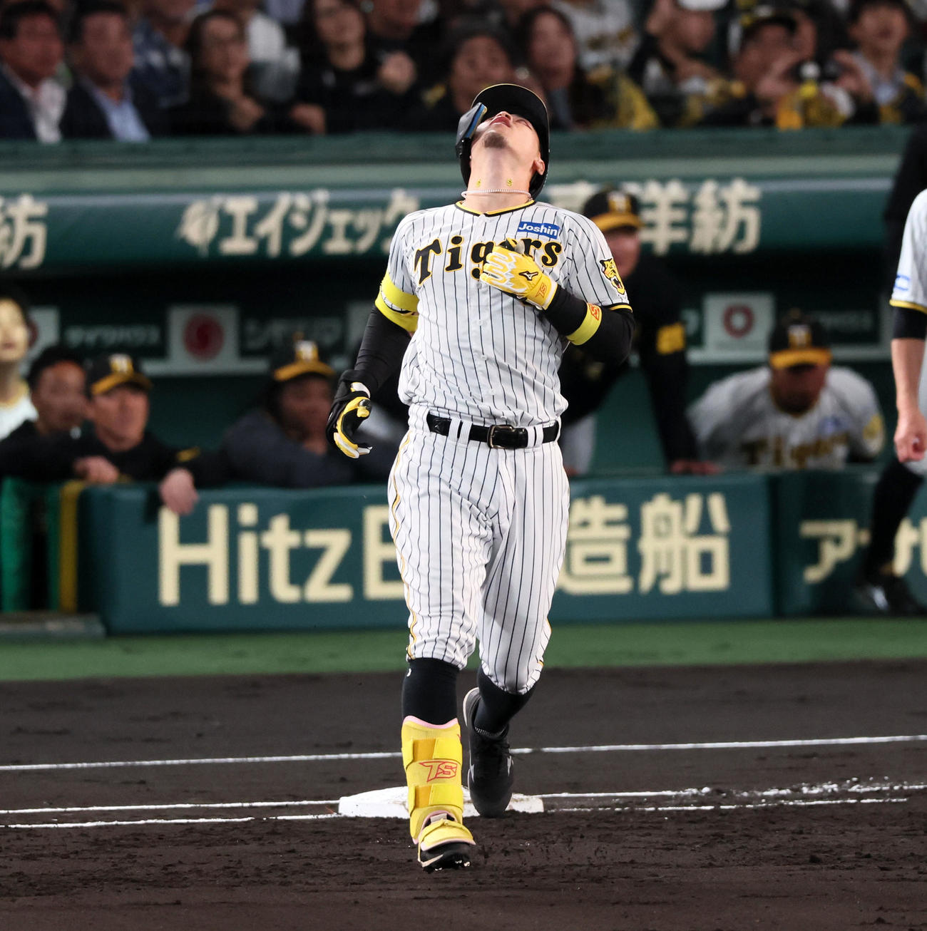 阪神対広島　2回裏阪神無死一塁、佐藤輝は左飛を打ち上げ天を仰ぐ（撮影・加藤哉）