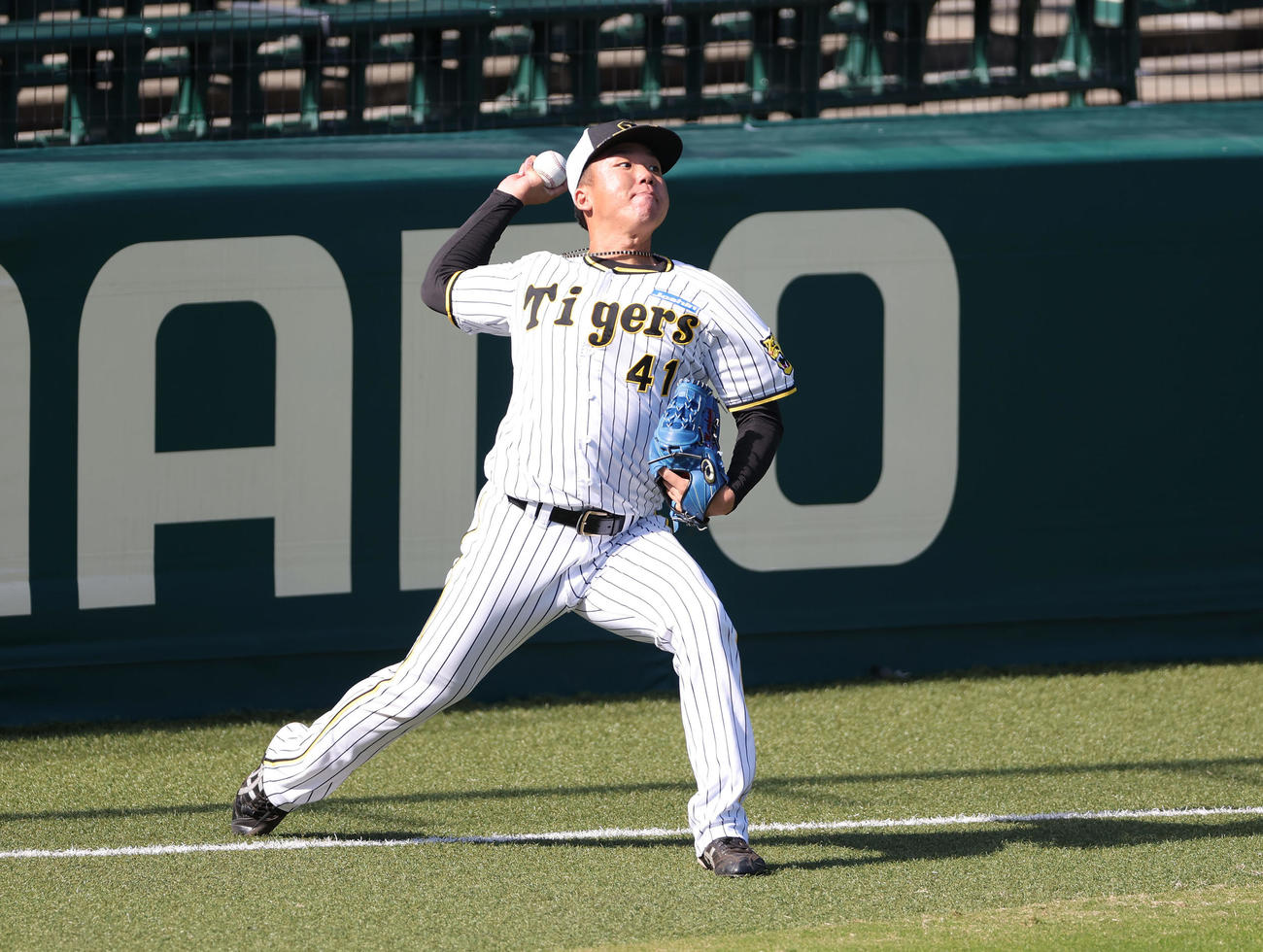 キャッチボールで調整する阪神村上（撮影・前田充）
