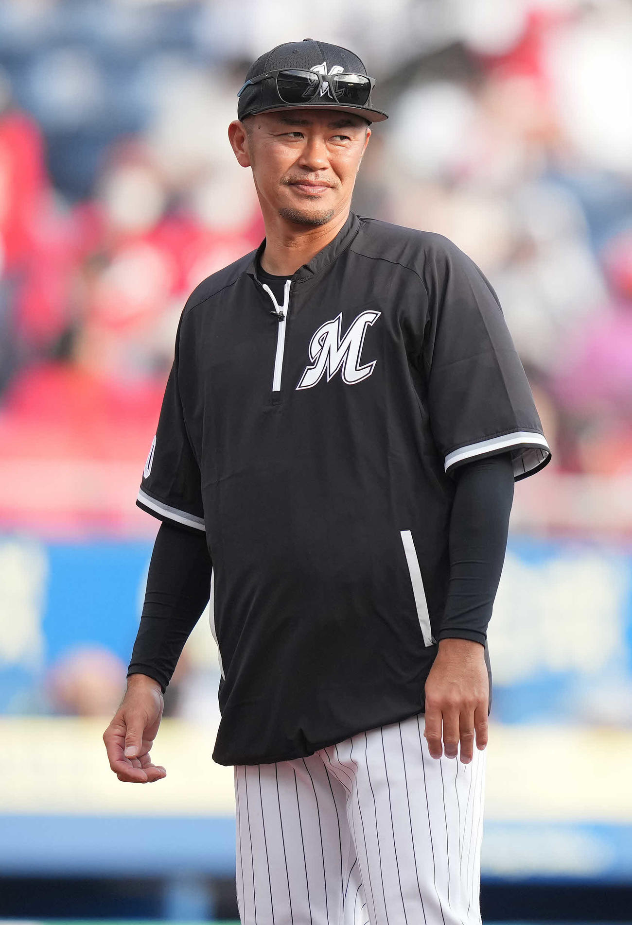 ロッテ福浦和也ヘッド兼打撃コーチ（23年3月22日撮影）