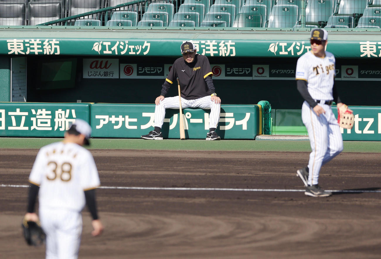 投内連係を見守る阪神岡田監督（中央）（撮影・前田充）
