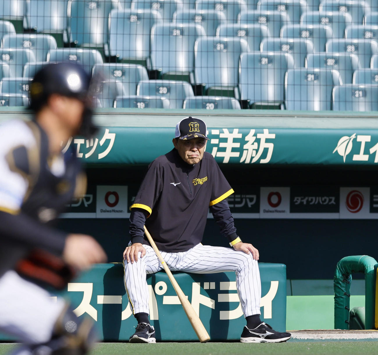 投内連係を見守る阪神岡田監督（撮影・藤尾明華）