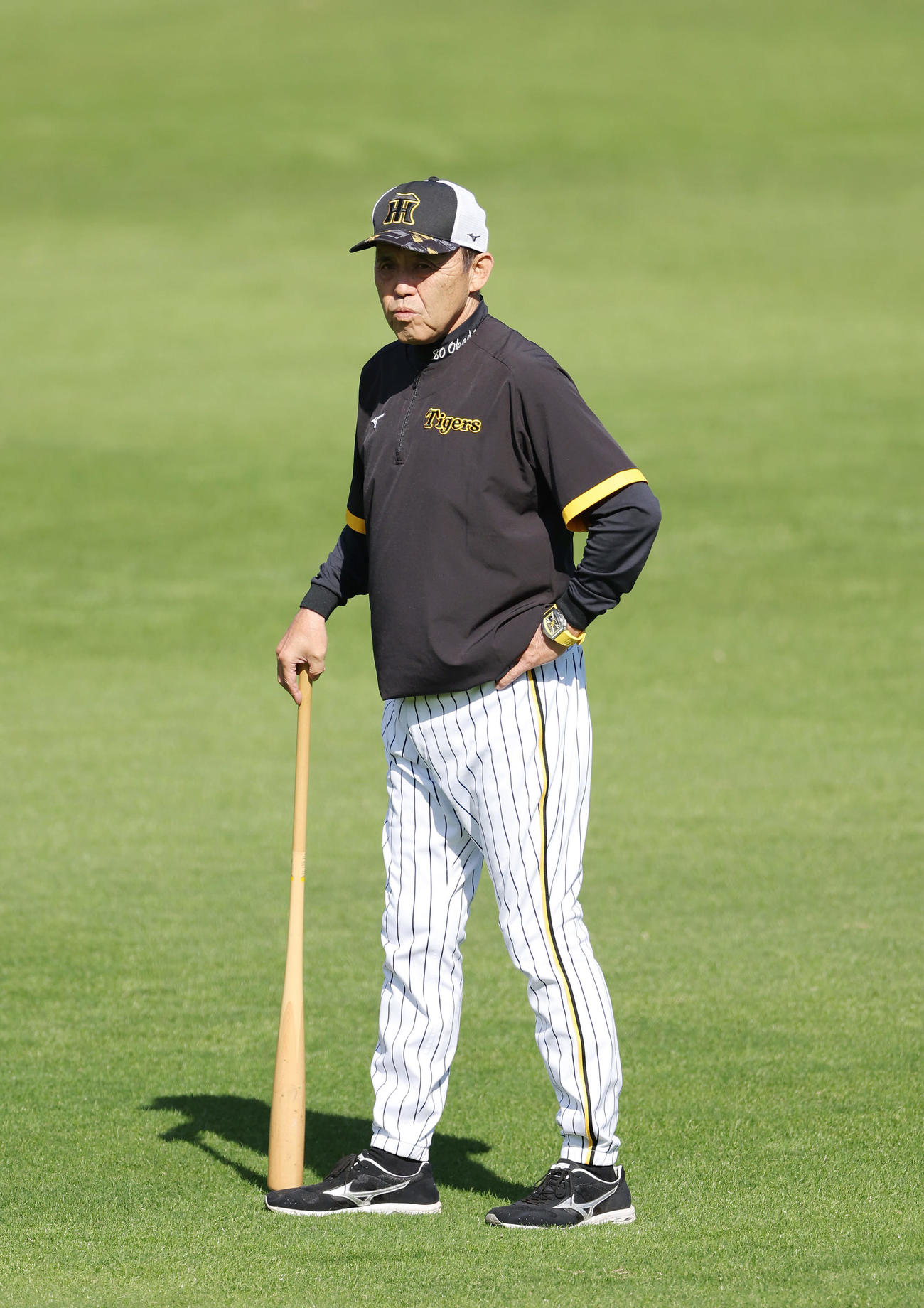 練習を見守る阪神岡田監督（撮影・前田充）