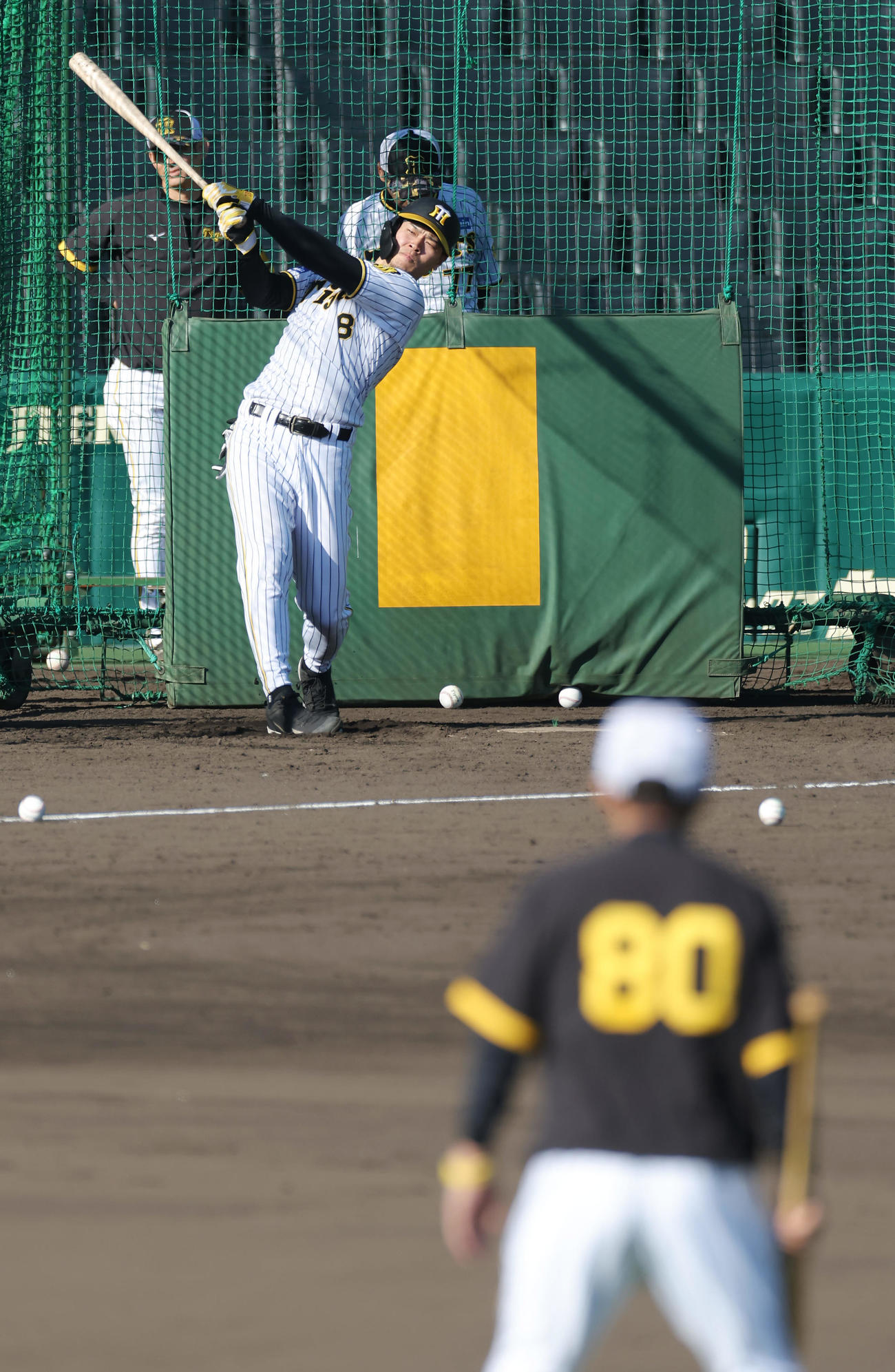 阪神岡田監督（手前）に見つめられながらフリー打撃を行う佐藤輝（撮影・前田充）