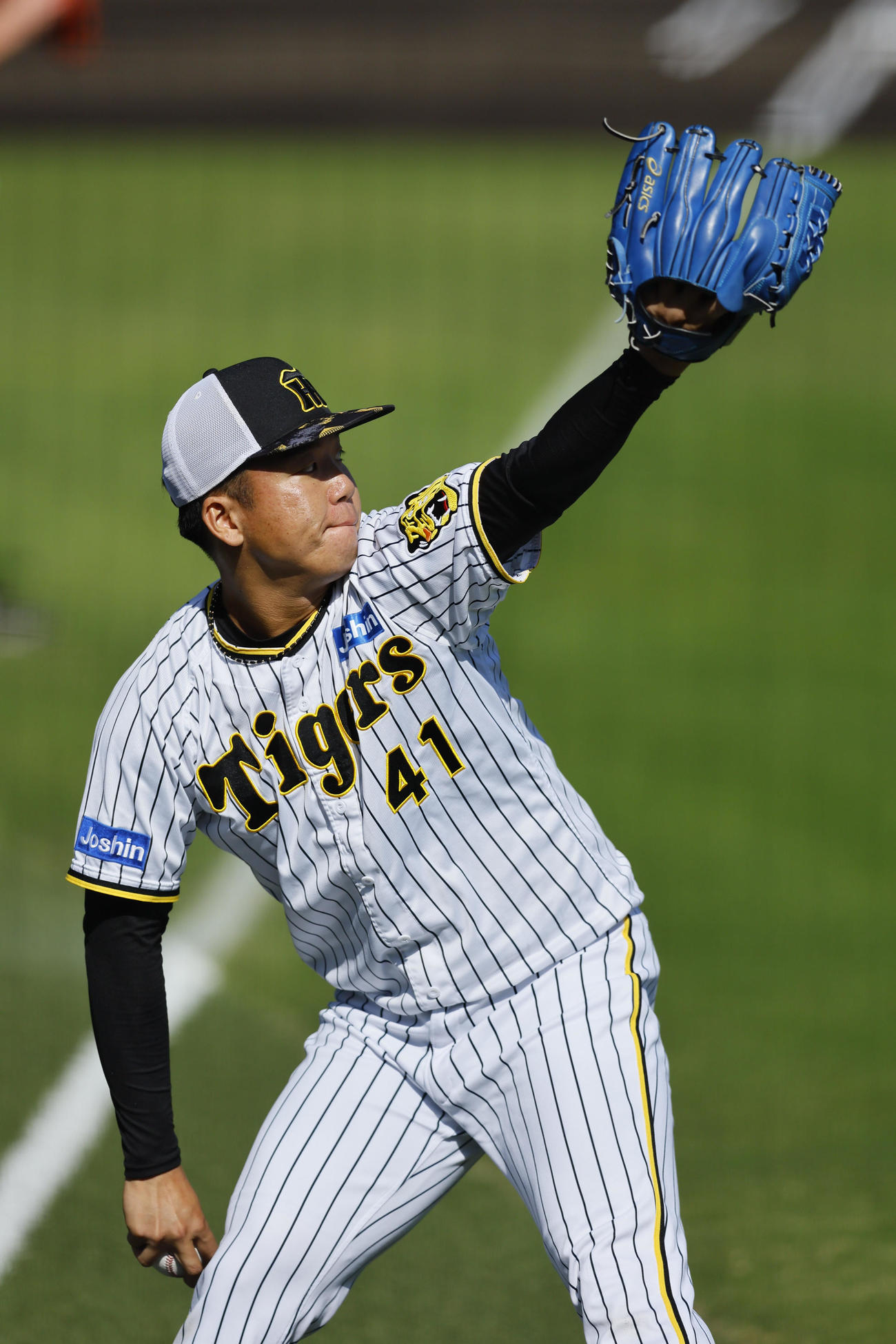 キャッチボールをする阪神村上（撮影・藤尾明華）