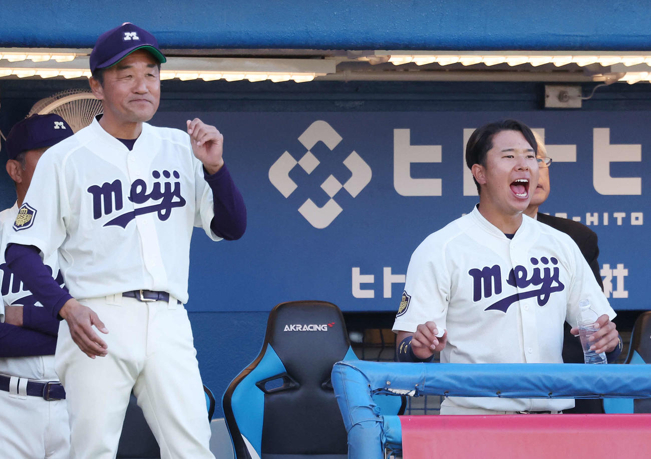 明大対法大　ベンチから声を出す明大・上田希。左は田中監督（撮影・宮地輝）