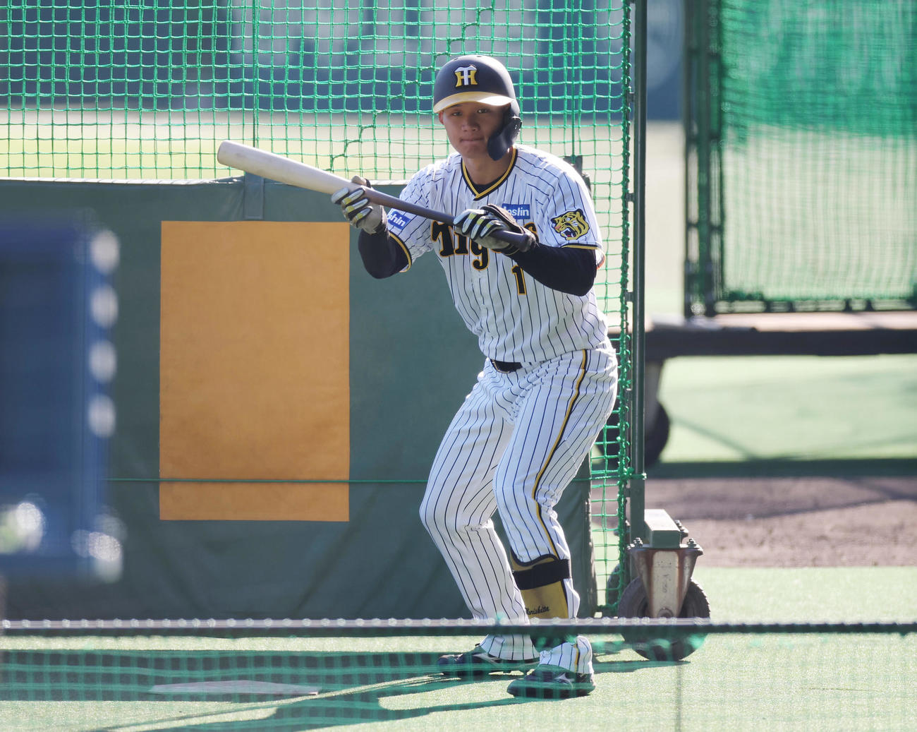バント練習を行う阪神森下（撮影・前田充）