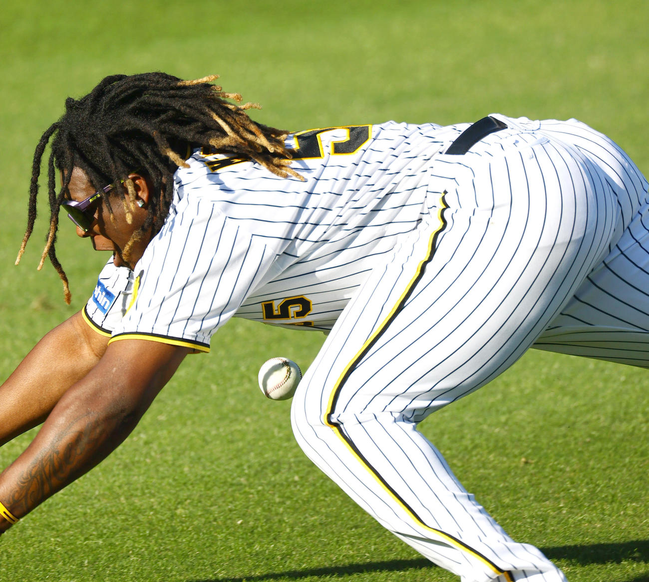 外野で球拾いする阪神ミエセス（撮影・上山淳一）