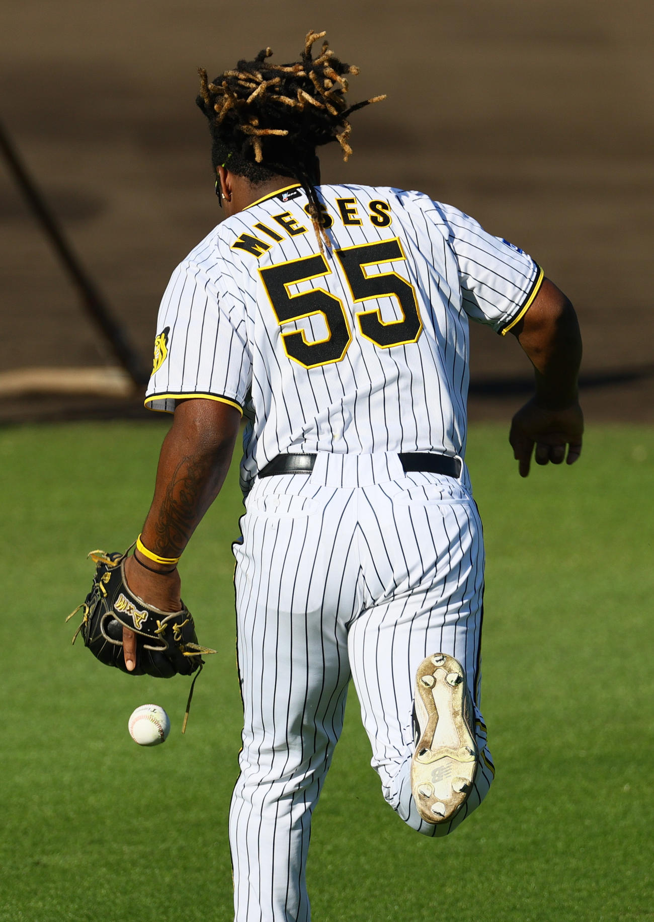 外野で球拾いする阪神ミエセス（撮影・上山淳一）
