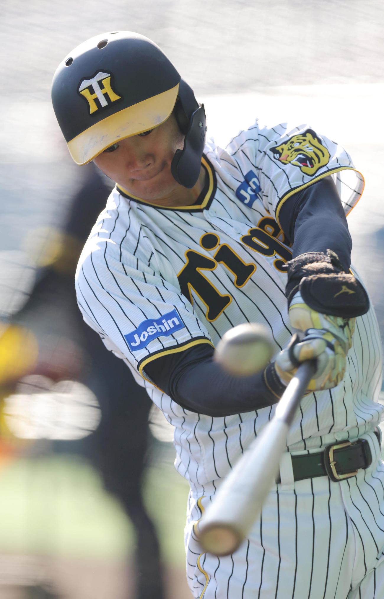 打撃練習を行う阪神森下（撮影・前田充）