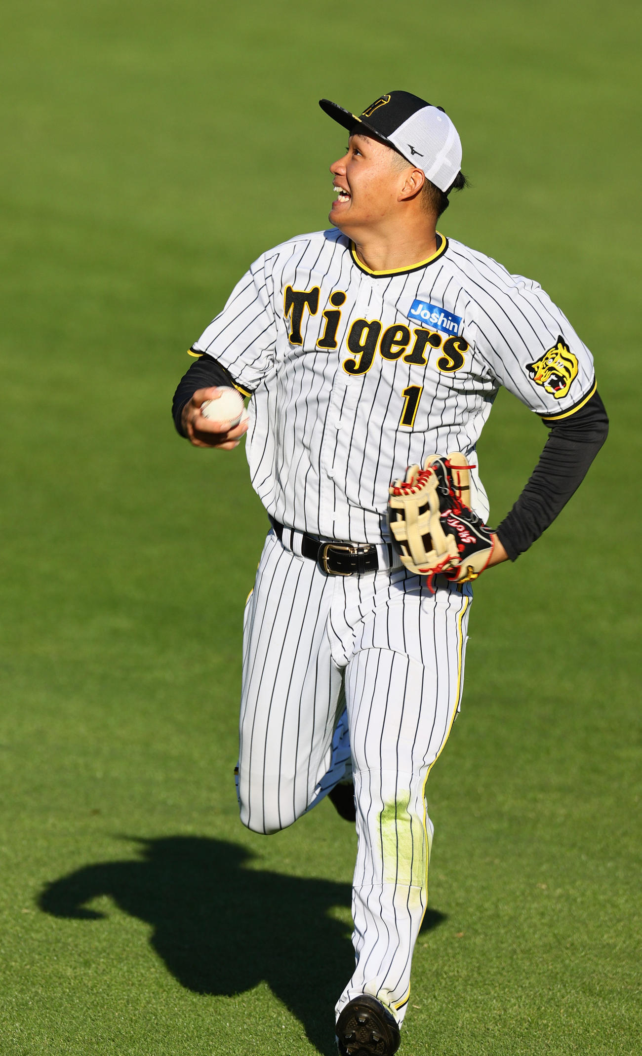 フリー打撃の球を追う阪神森下（撮影・上山淳一）