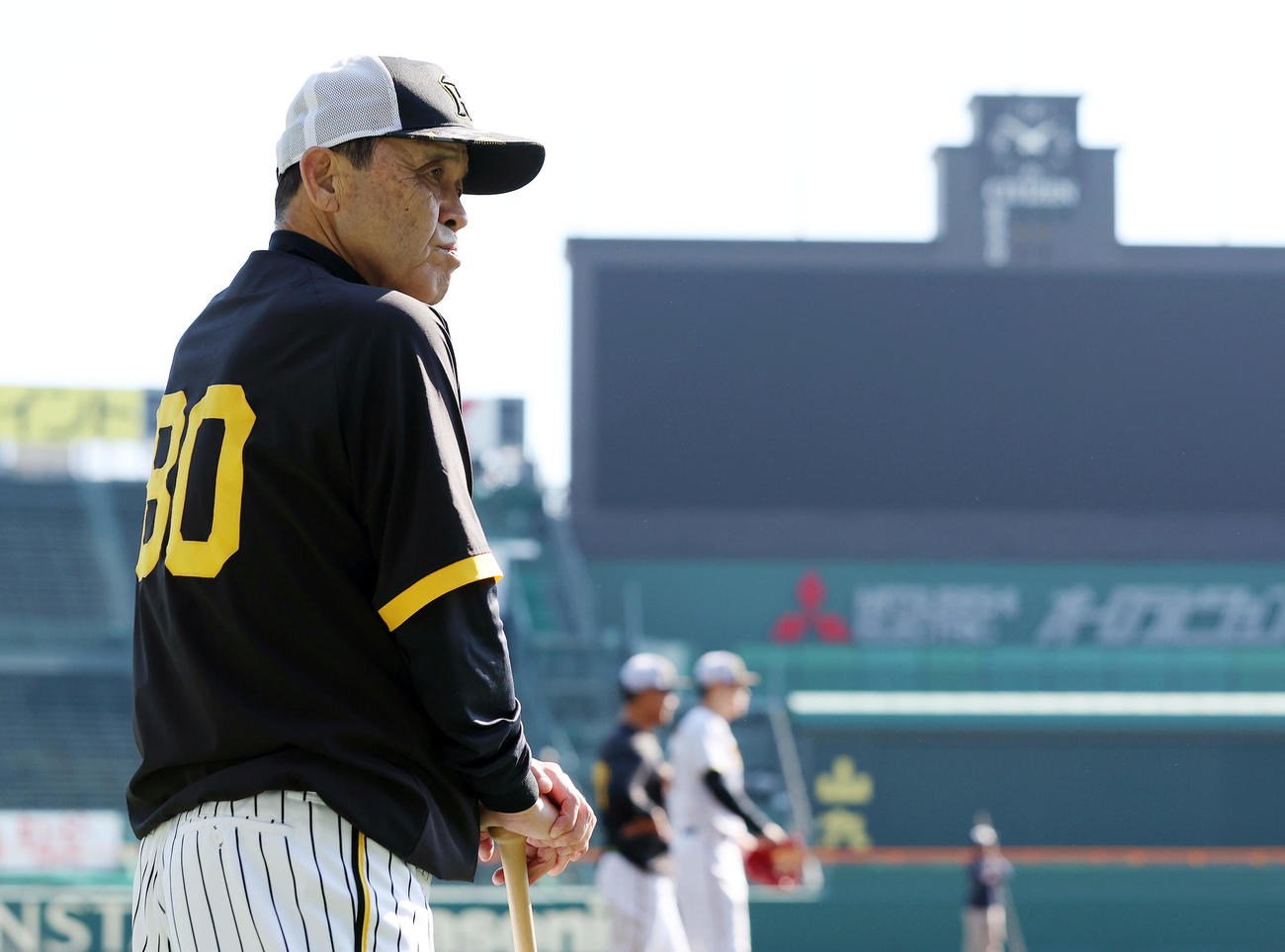 練習を見守る阪神岡田監督（撮影・前田充）