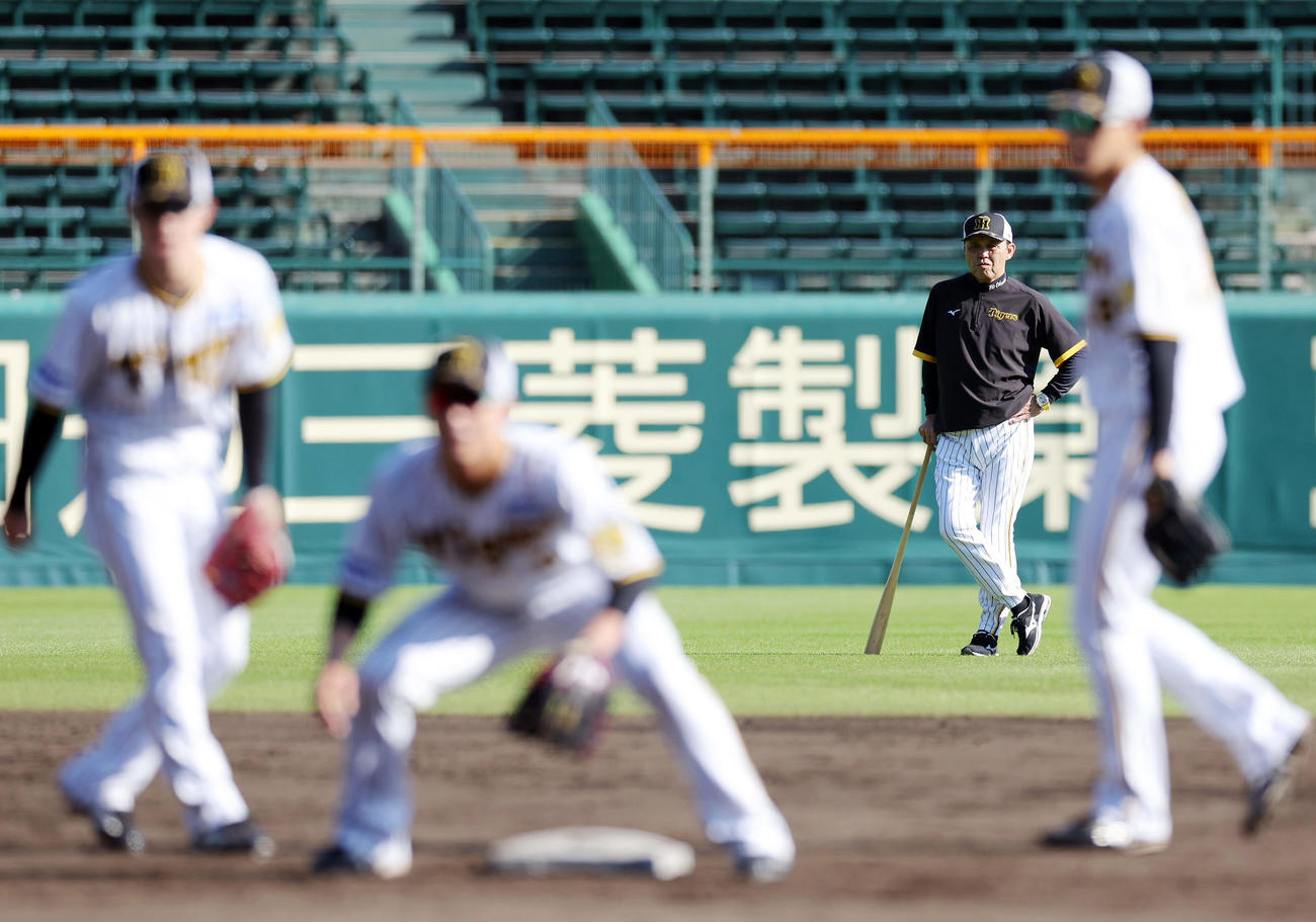シートノックを見守る阪神岡田監督（撮影・前田充）