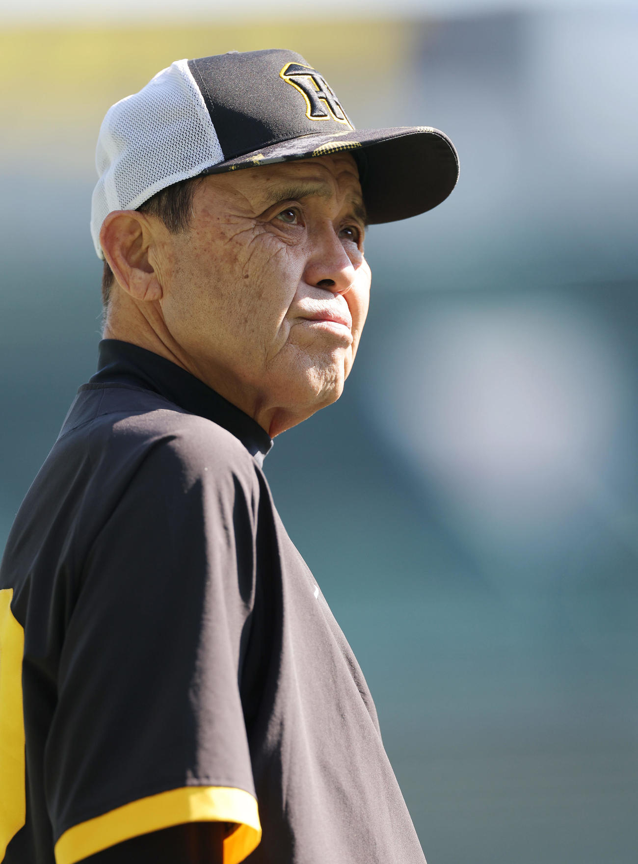 練習を見守る阪神岡田監督（撮影・前田充）