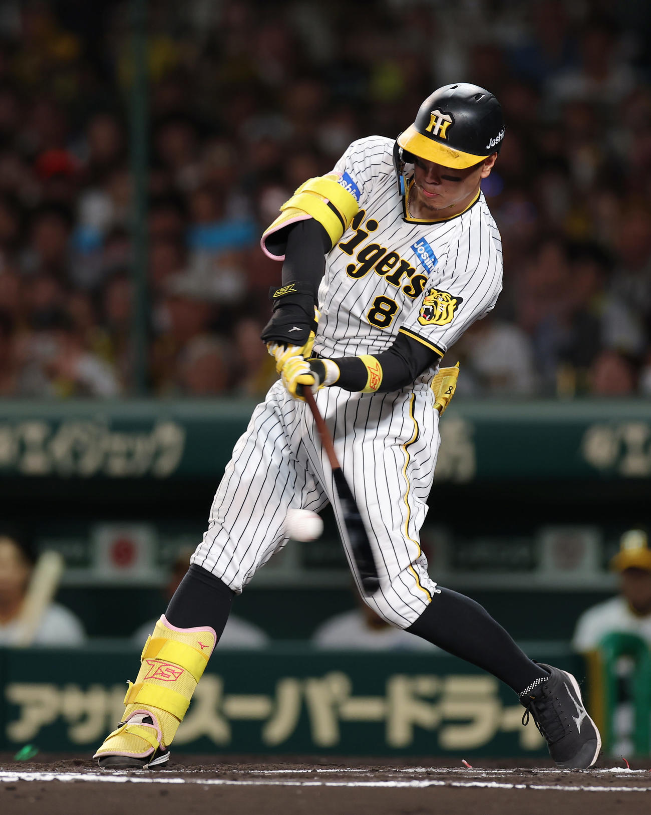 阪神佐藤輝明（23年10月撮影）