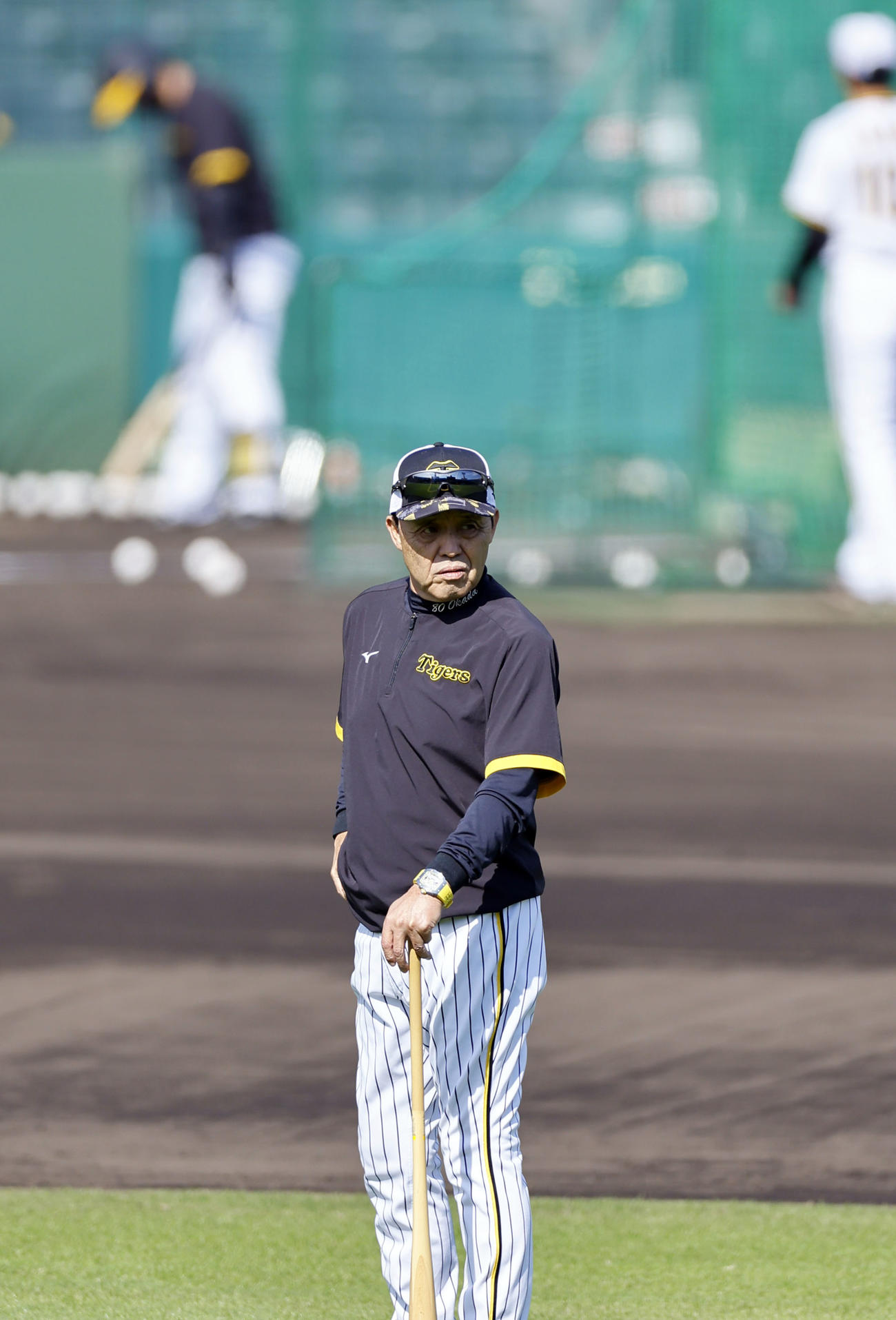 練習を見つめる阪神岡田監督（撮影・藤尾明華）