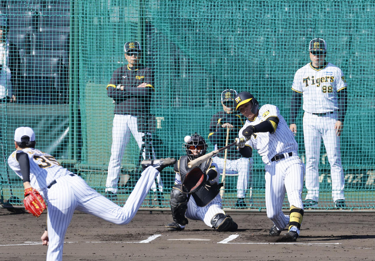 シート打撃で中飛に倒れる阪神森下。後方中央は岡田監督、投手才木（撮影・藤尾明華）