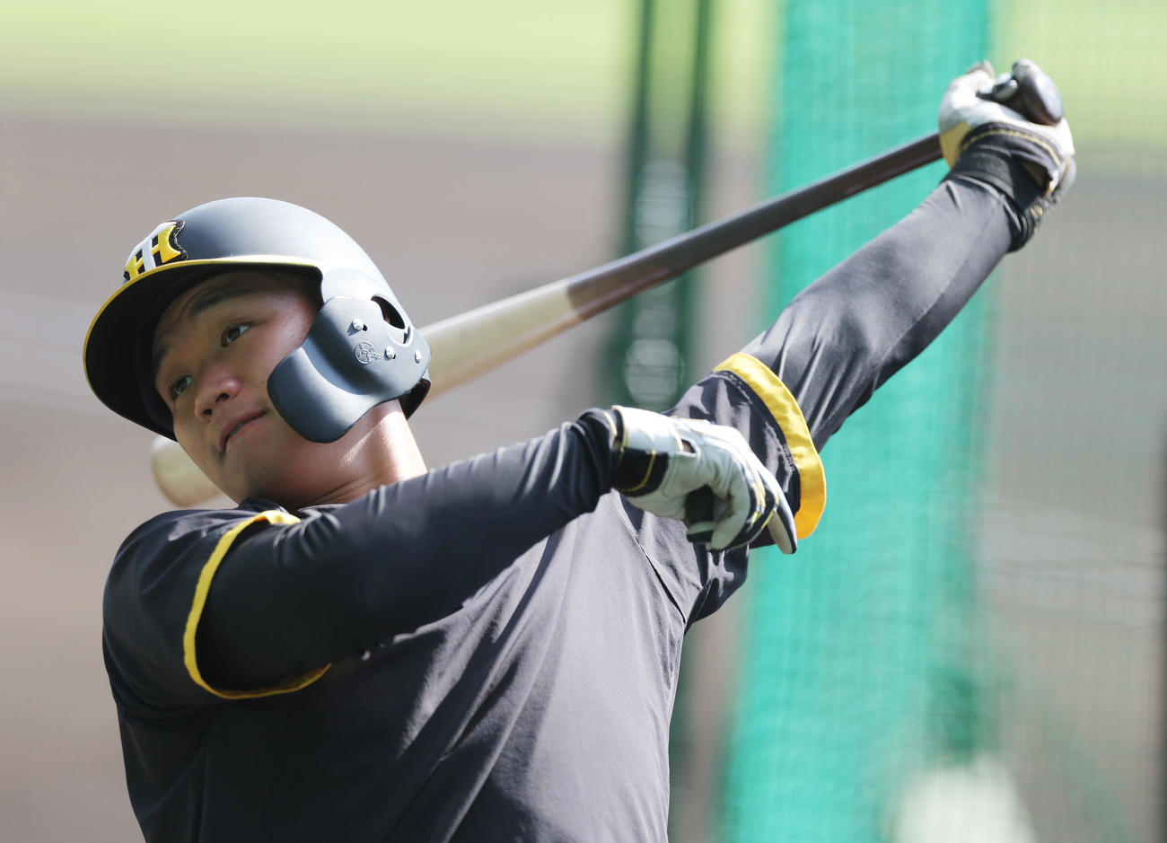 打撃練習を行う阪神森下（撮影・前田充）