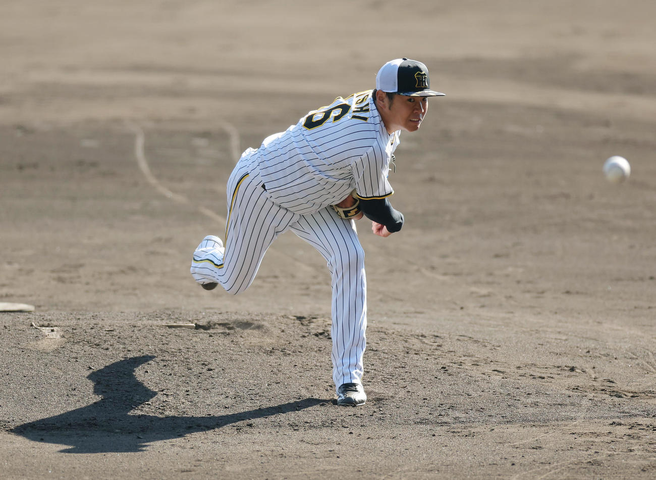 シート打撃に登板する阪神西勇（撮影・前田充）