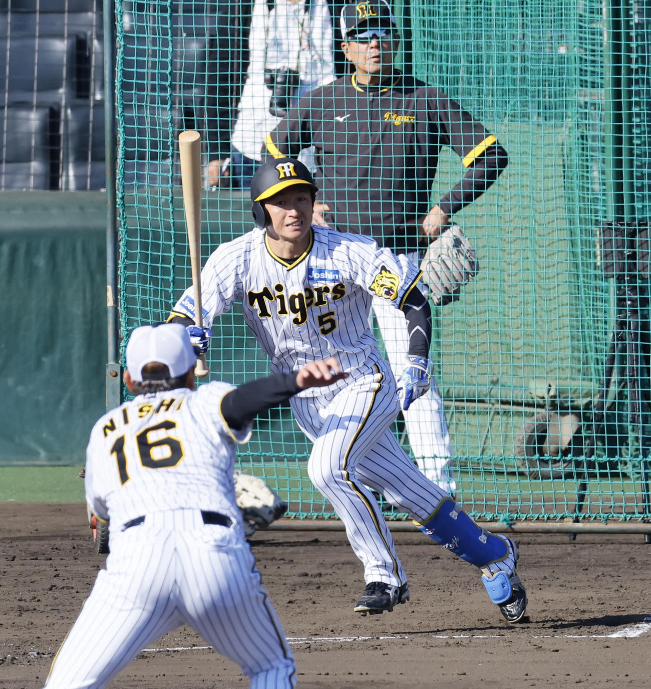 シート打撃で投ゴロに倒れる近本。投手西勇（撮影・藤尾明華）