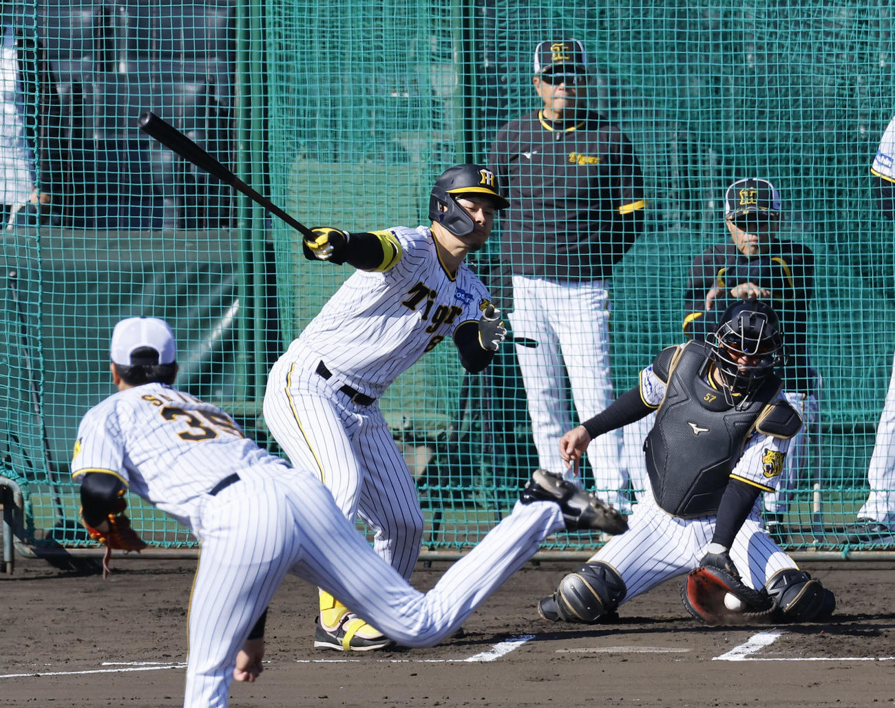 シート打撃で空振り三振に倒れる佐藤輝。後方右は岡田監督、投手才（撮影・藤尾明華）