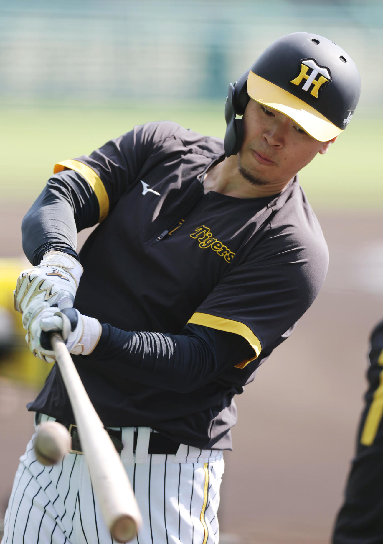 打撃練習を行う阪神佐藤輝（撮影・前田充）