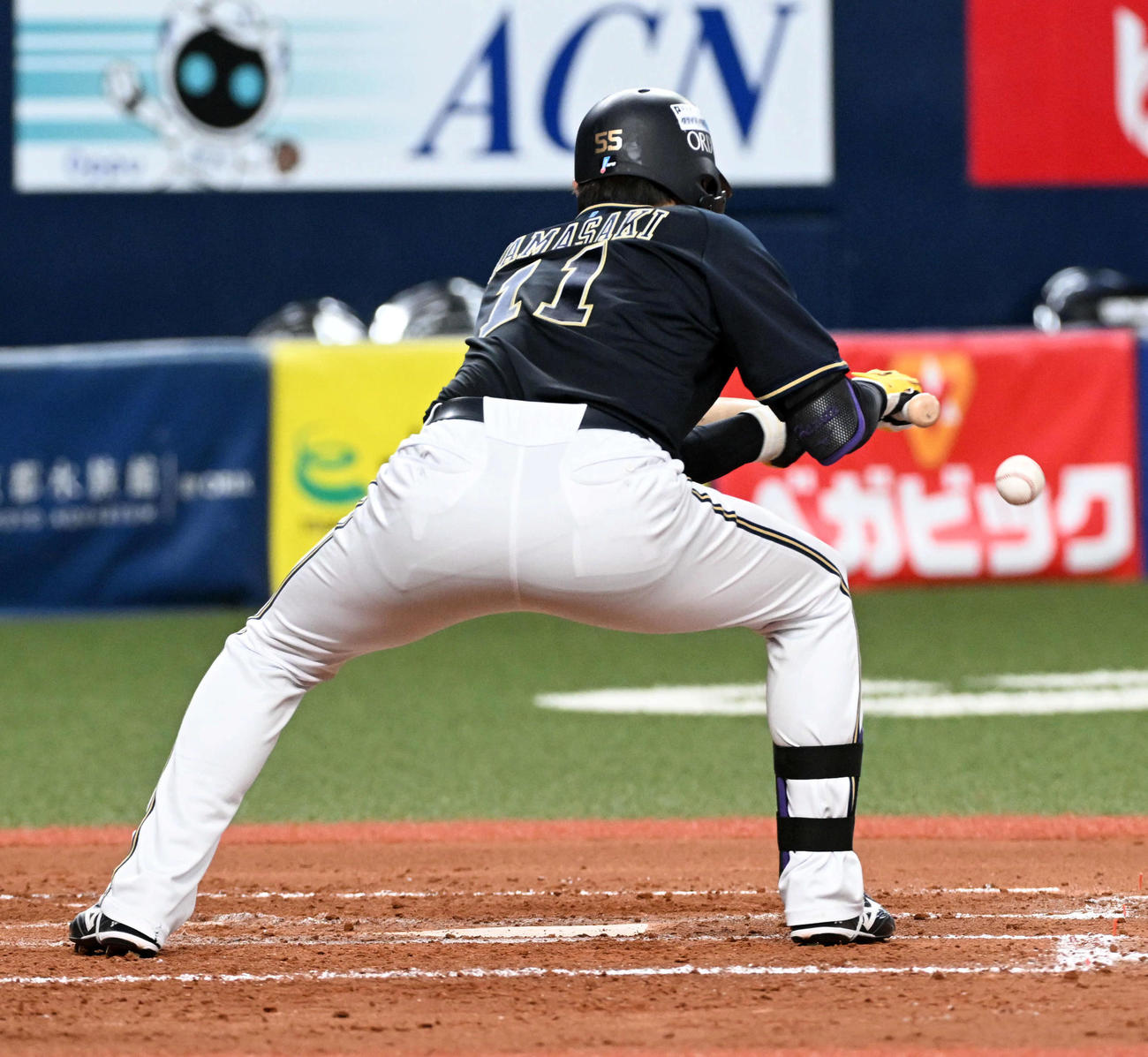 紅白戦　5回表無死、山崎福は三塁前に送りバントを決める（撮影・前岡正明）