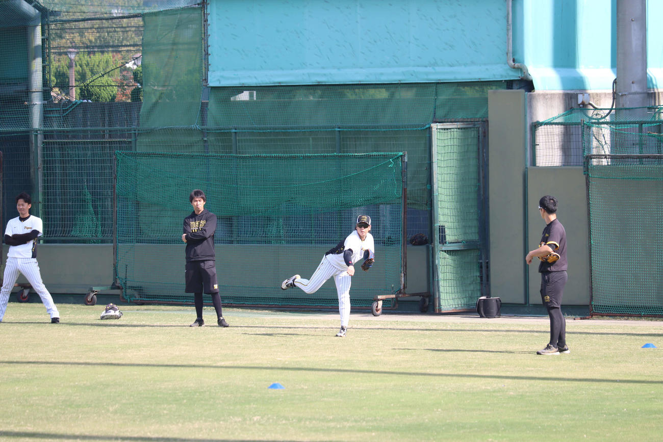 鳴尾浜でキャッチボールを行う阪神梅野隆太郎捕手（撮影・波部俊之介）