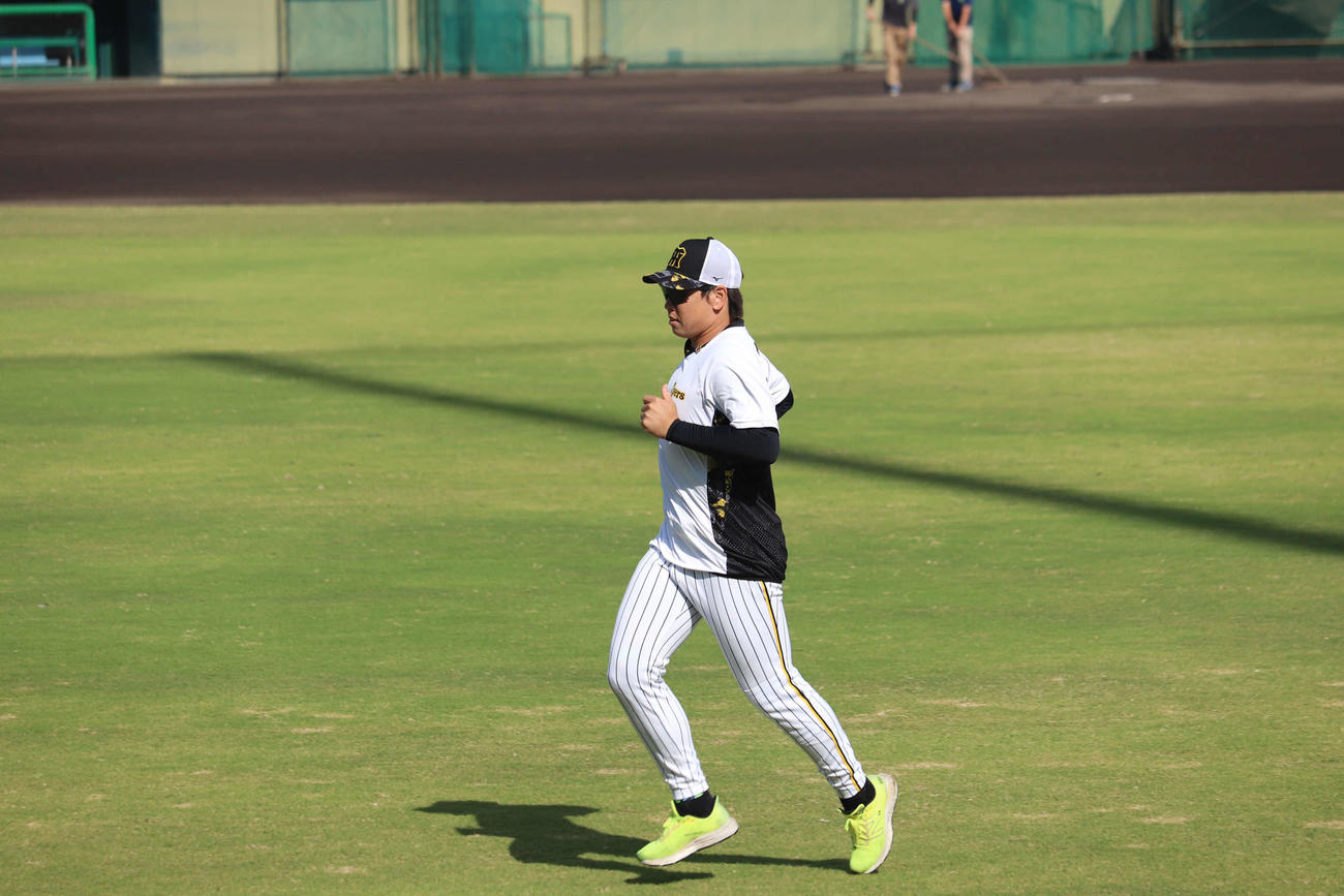 鳴尾浜でリハビリを行う阪神梅野隆太郎捕手（撮影・波部俊之介）