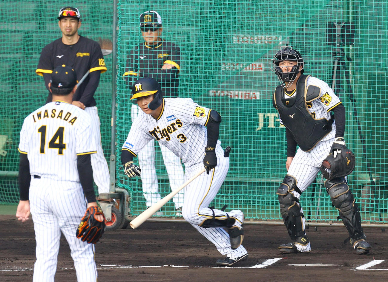 シート打撃で中前打を放つ阪神大山（撮影・上山淳一）