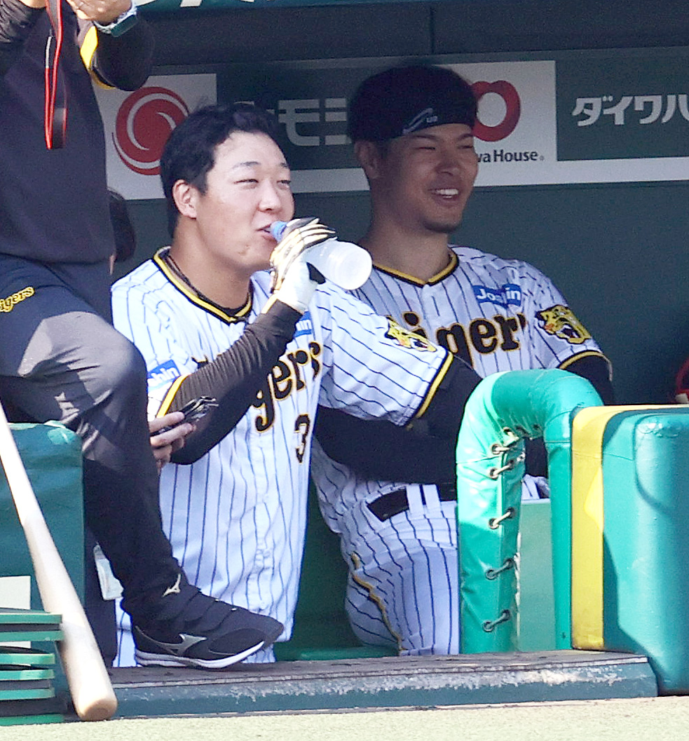 シート打撃の合間にベンチでリラックスした表情を見せる大山（手前）と佐藤輝（撮影・上山淳一）