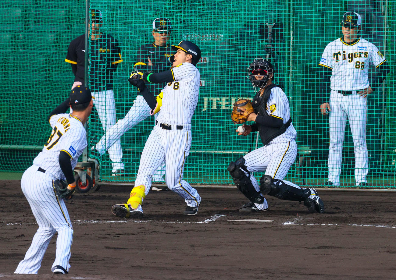 シート打撃で及川（手前）との対戦で空振りする佐藤輝（撮影・上山淳一）