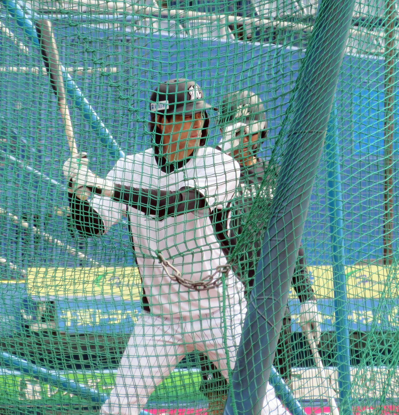 フリー打撃を行うロッテ岡（撮影・鎌田直秀）