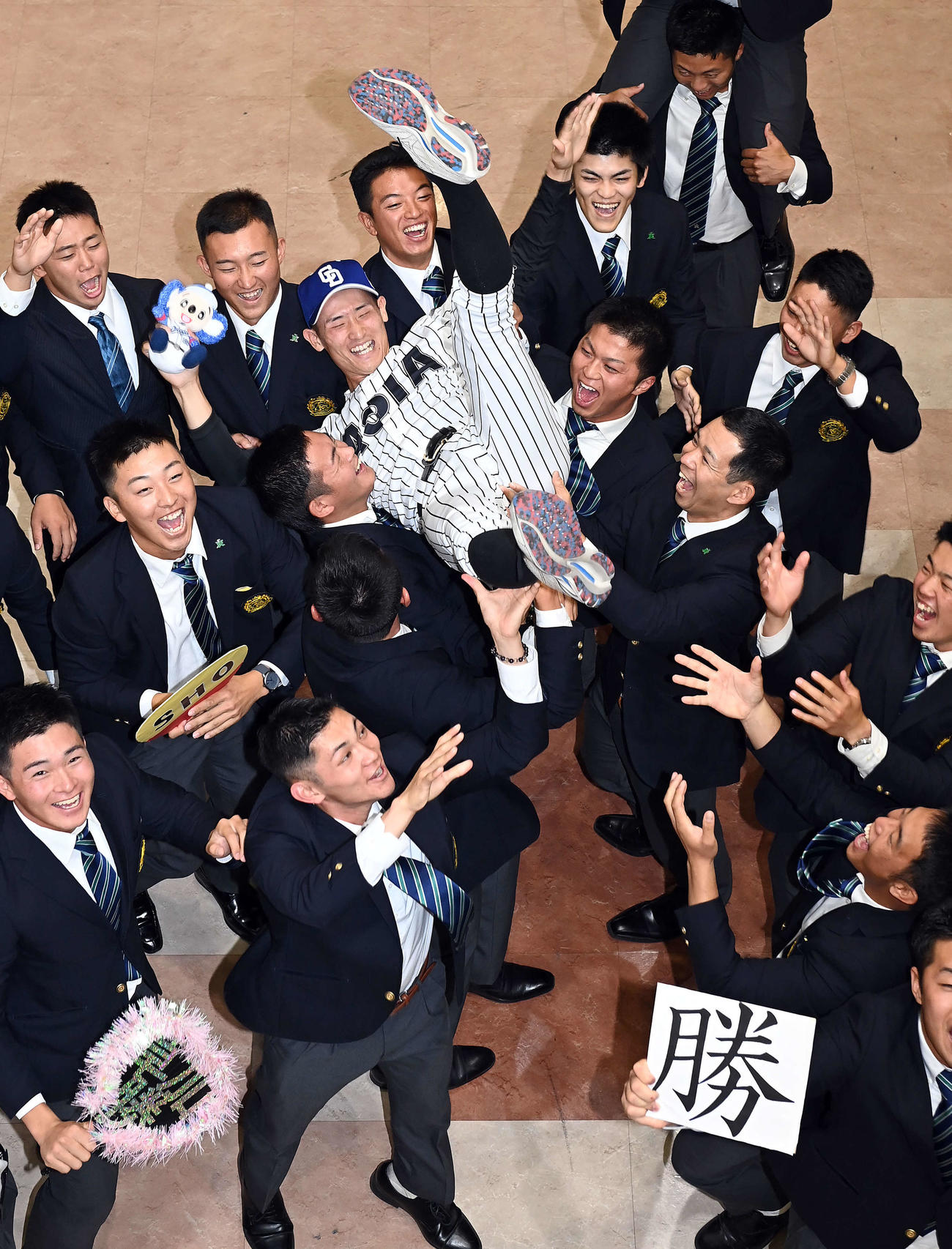 中日から1位指名を受けた亜大・草加は、チームメートから胴上げされ笑顔を見せる（撮影・たえ見朱実）