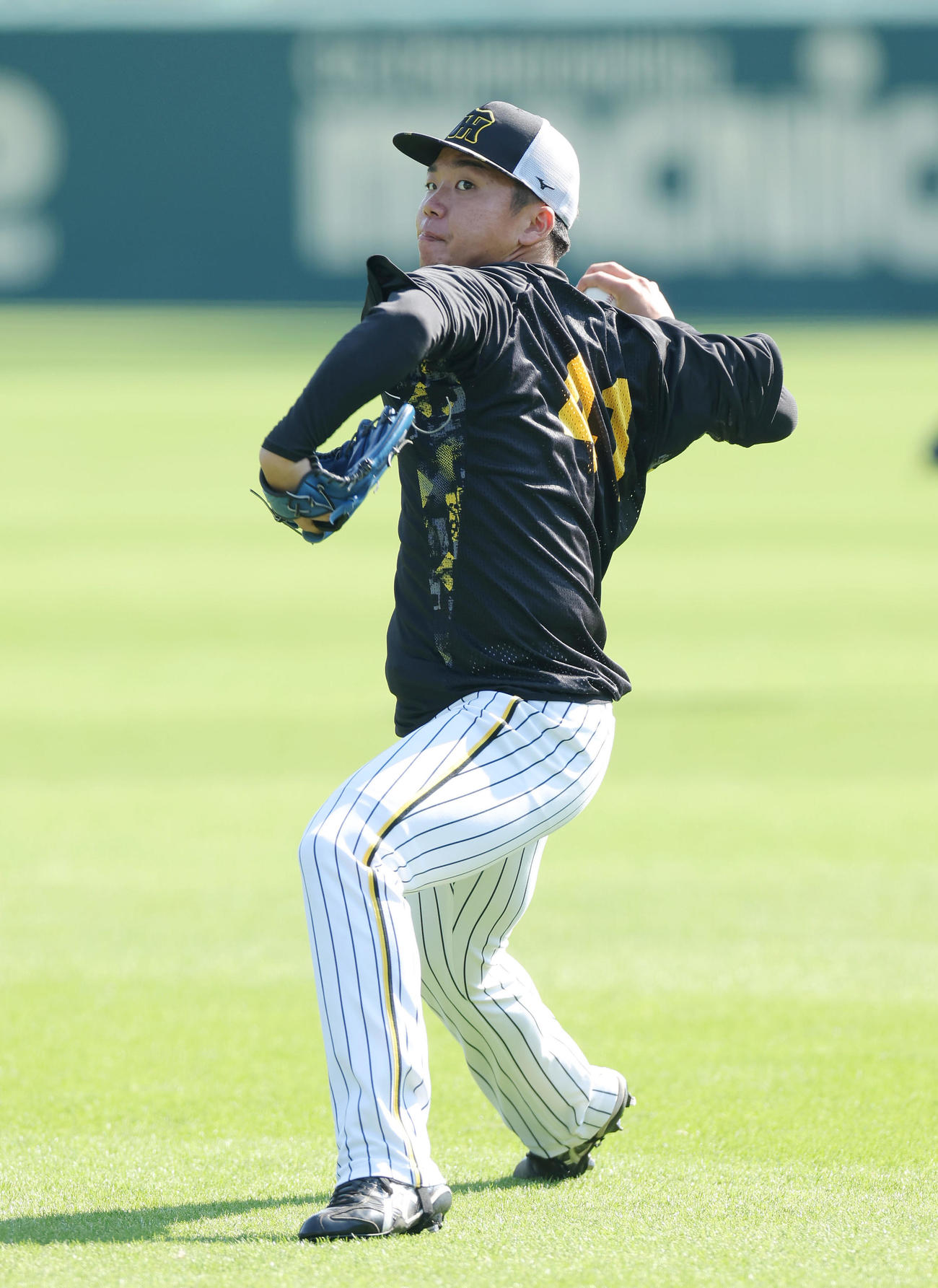キャッチボールで調整する阪神村上（撮影・前田充）