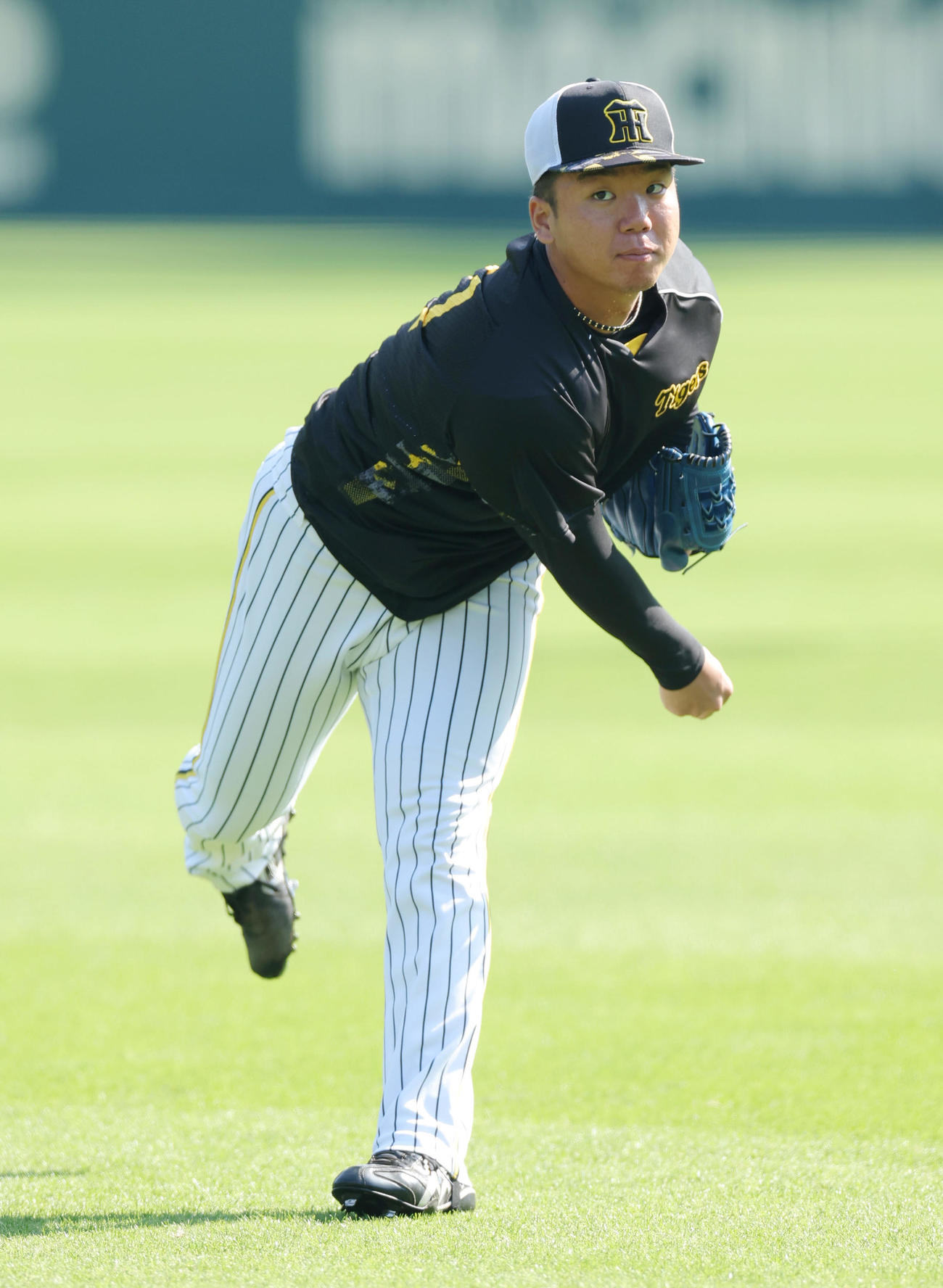 キャッチボールで調整する阪神村上（撮影・前田充）