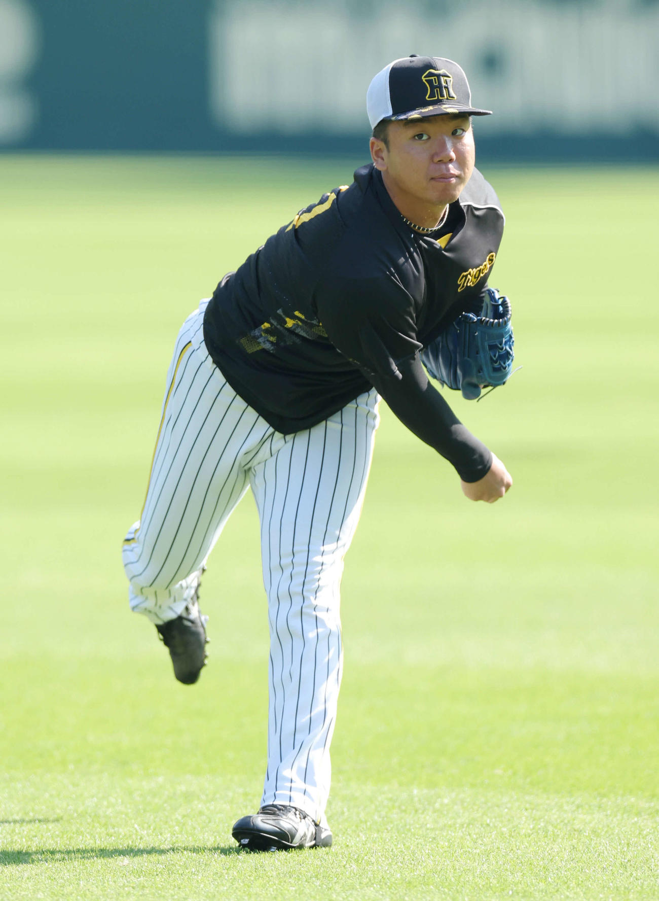 キャッチボールで調整する阪神村上（撮影・前田充）