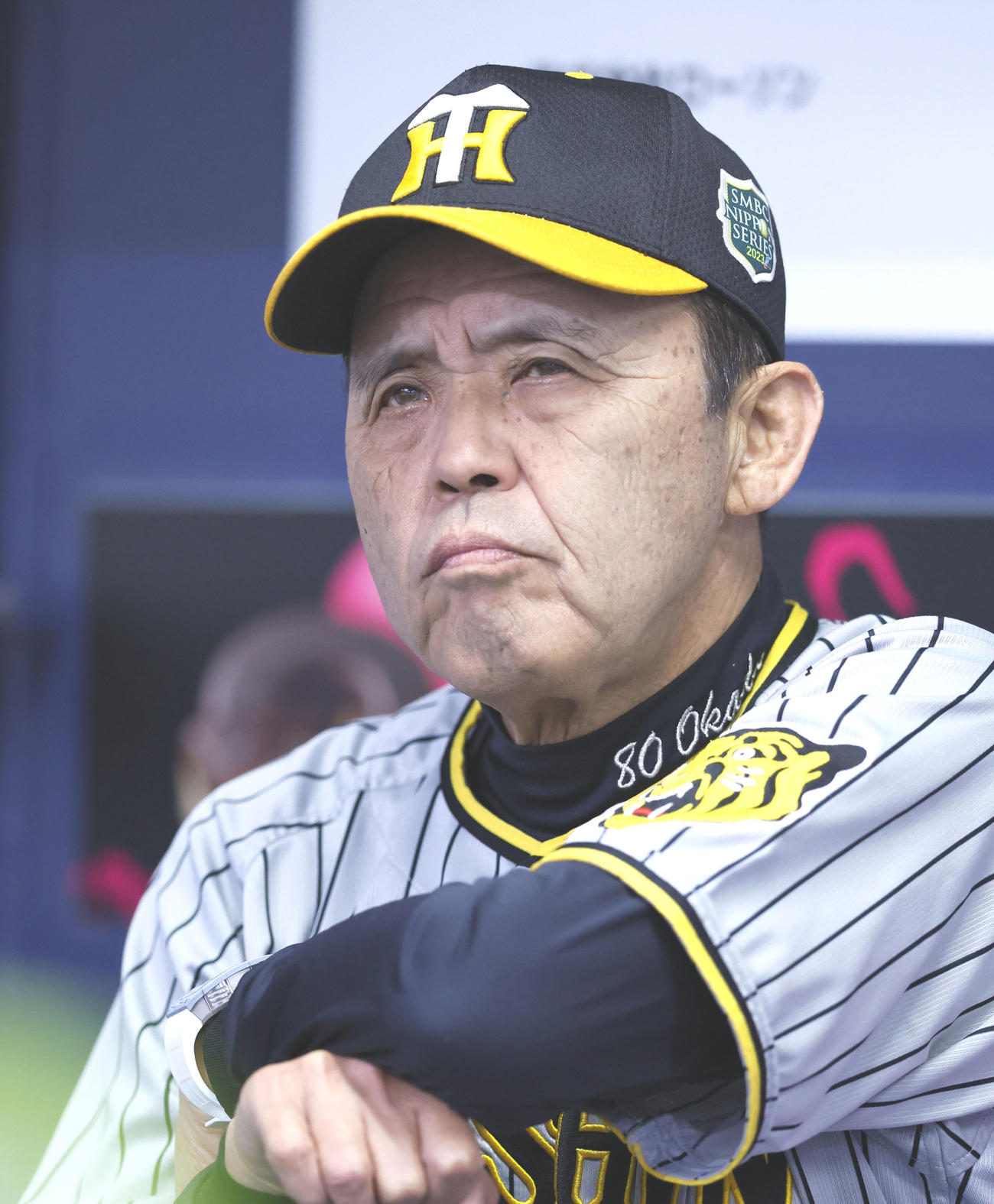 練習を見つめる阪神岡田監督（撮影・藤尾明華）