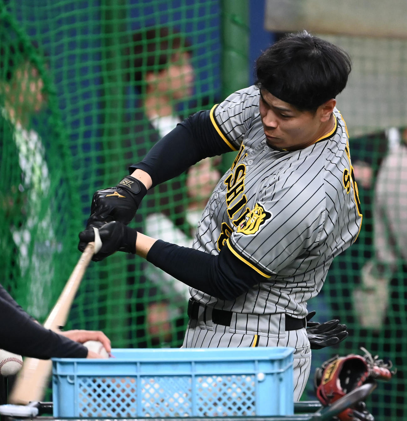 バッティング練習をする佐藤輝（撮影・石井愛子）