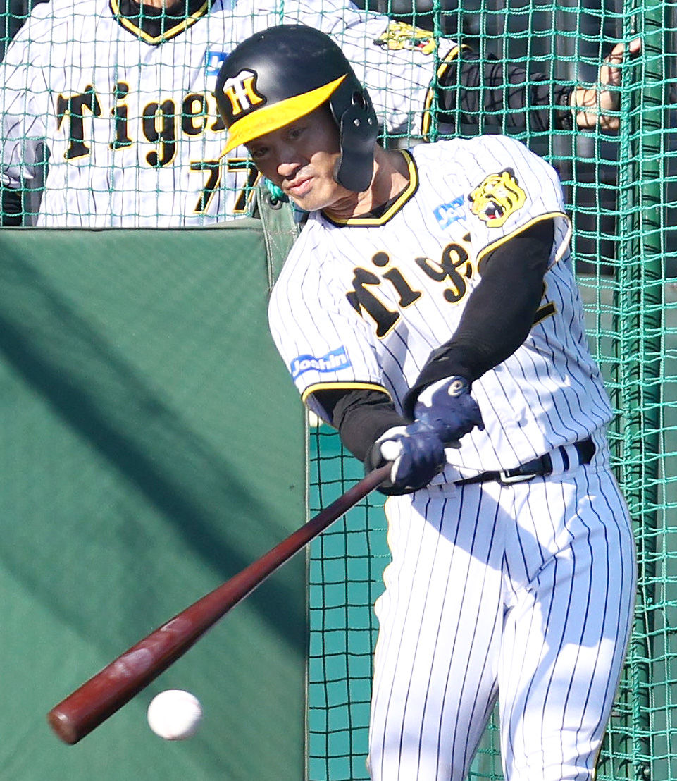 フリー打撃する阪神坂本（2023年10月23日撮影）