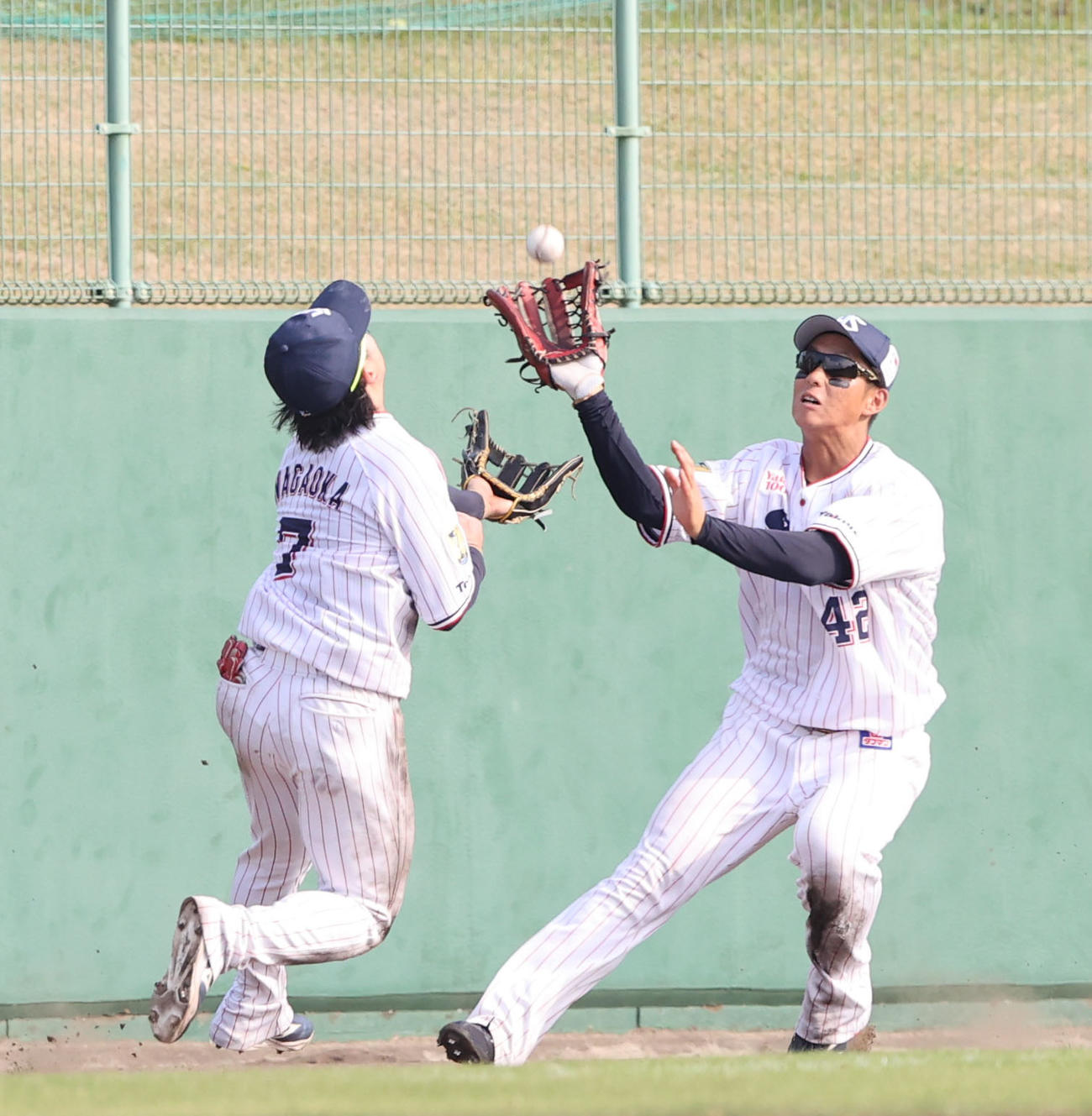 24日、ヤクルト対ソフトバンク　8回表、野村勇の打球を追い長岡三塁手と沢井左翼手がぶつかりあう
