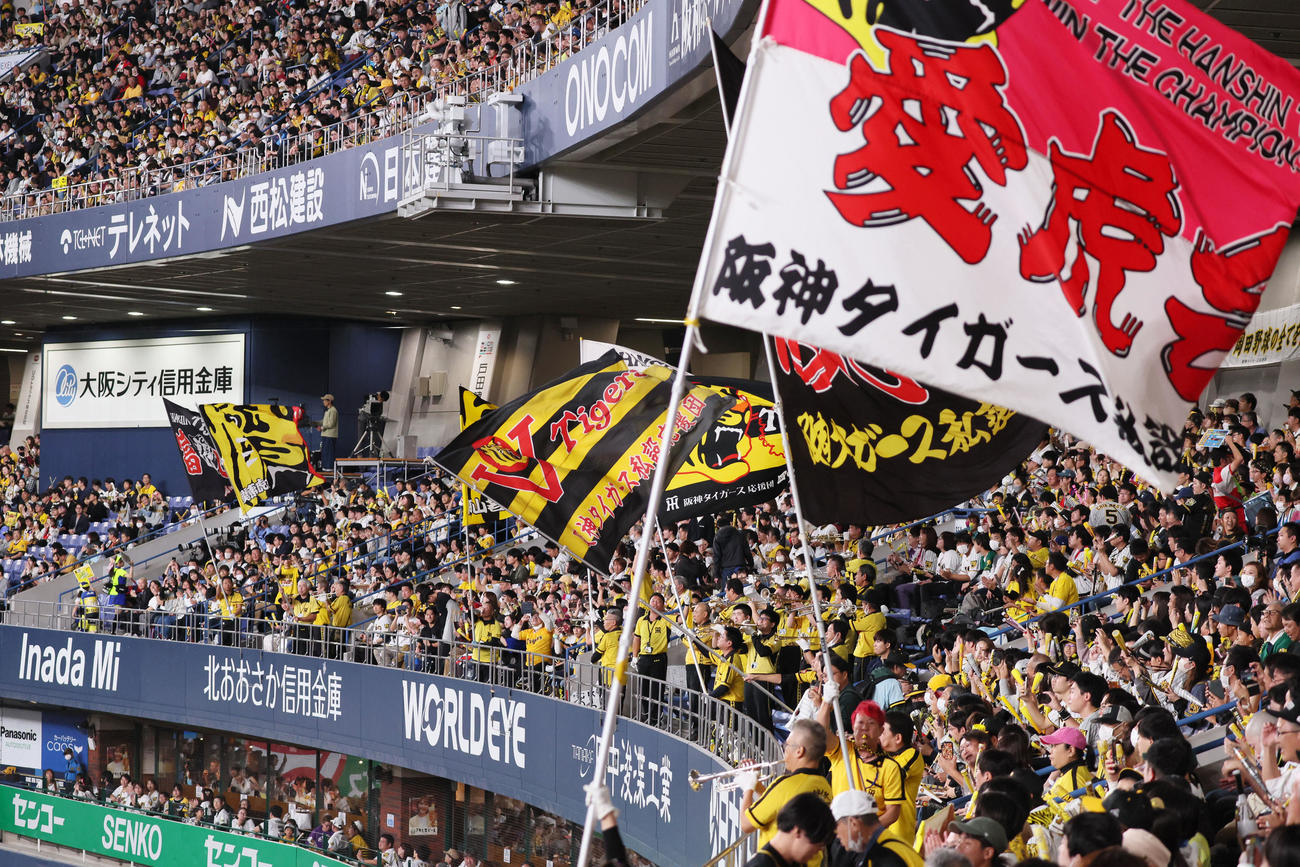 オリックス対阪神　盛り上がる阪神ファン（撮影・加藤哉）